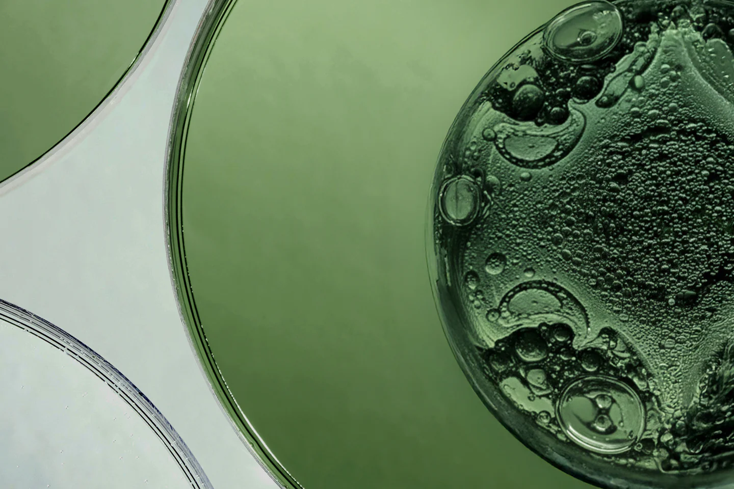 Science-Backed Skin Transformation